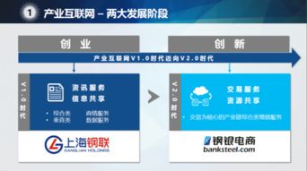上海钢联朱军红 在产业互联网的“双重创新”之路上深耕前行