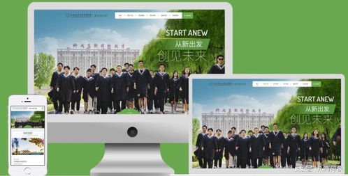 探索五家优秀网站开发定制公司 打造您的在线门户